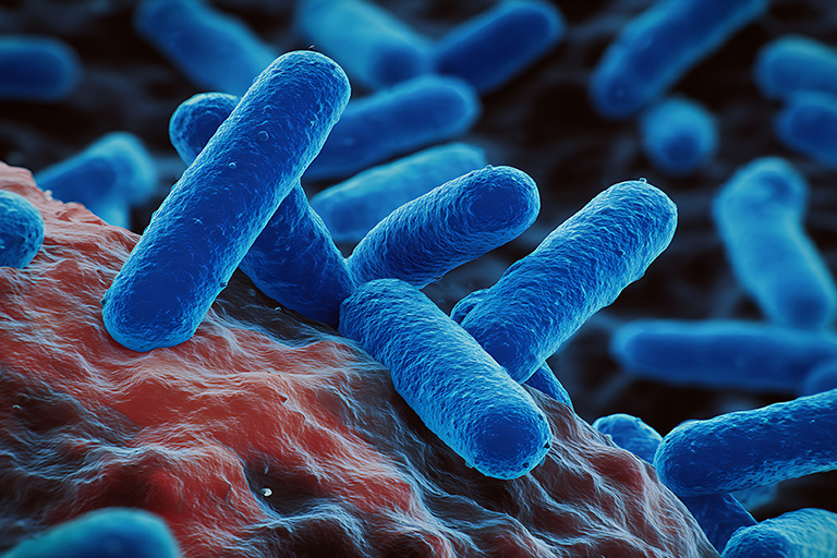 Detailed, close-up view of rod-shaped bacteria.