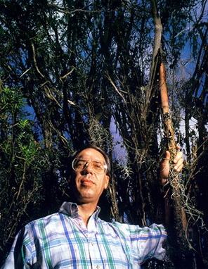 robert holton headshot